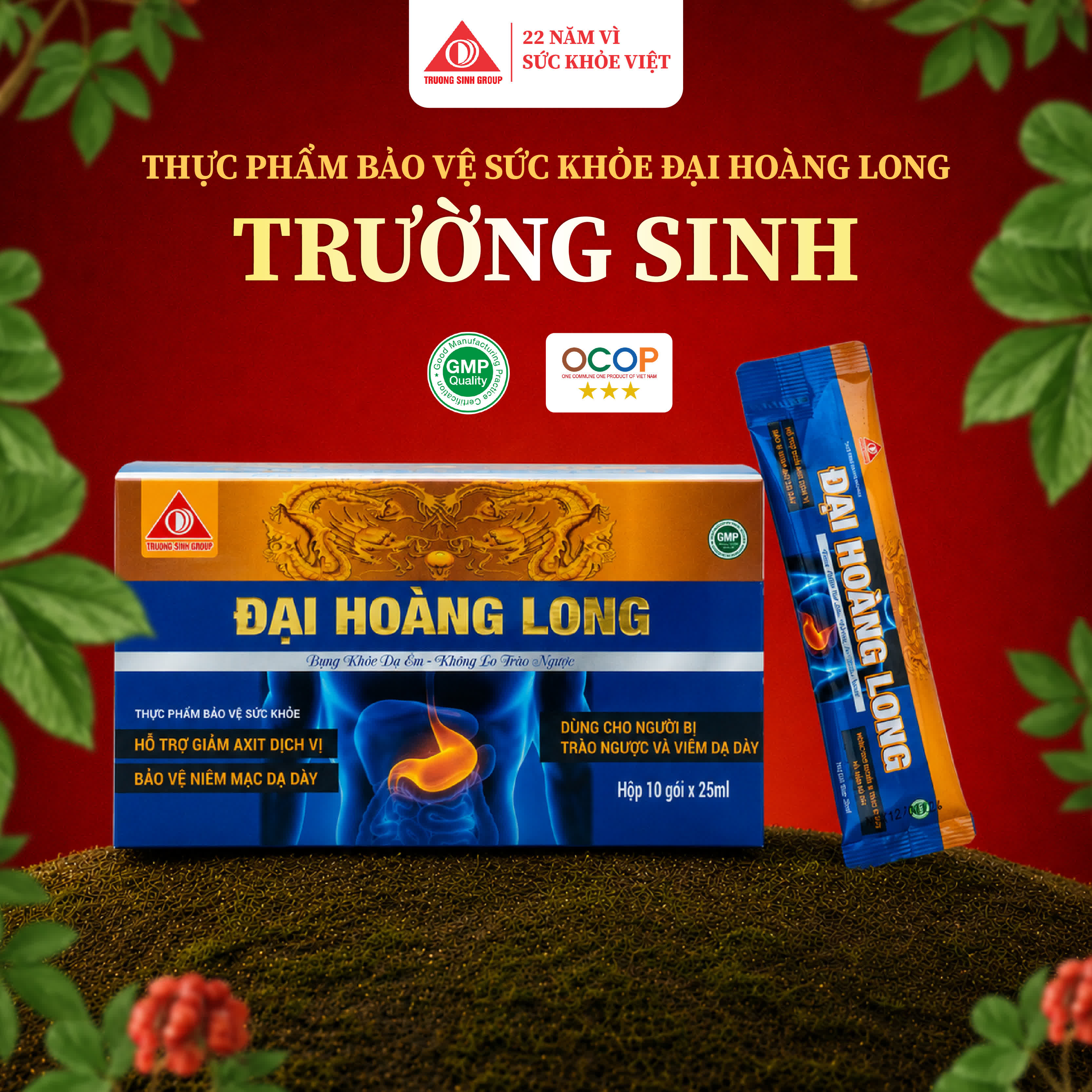 Đại Hoàng Long (Gói)