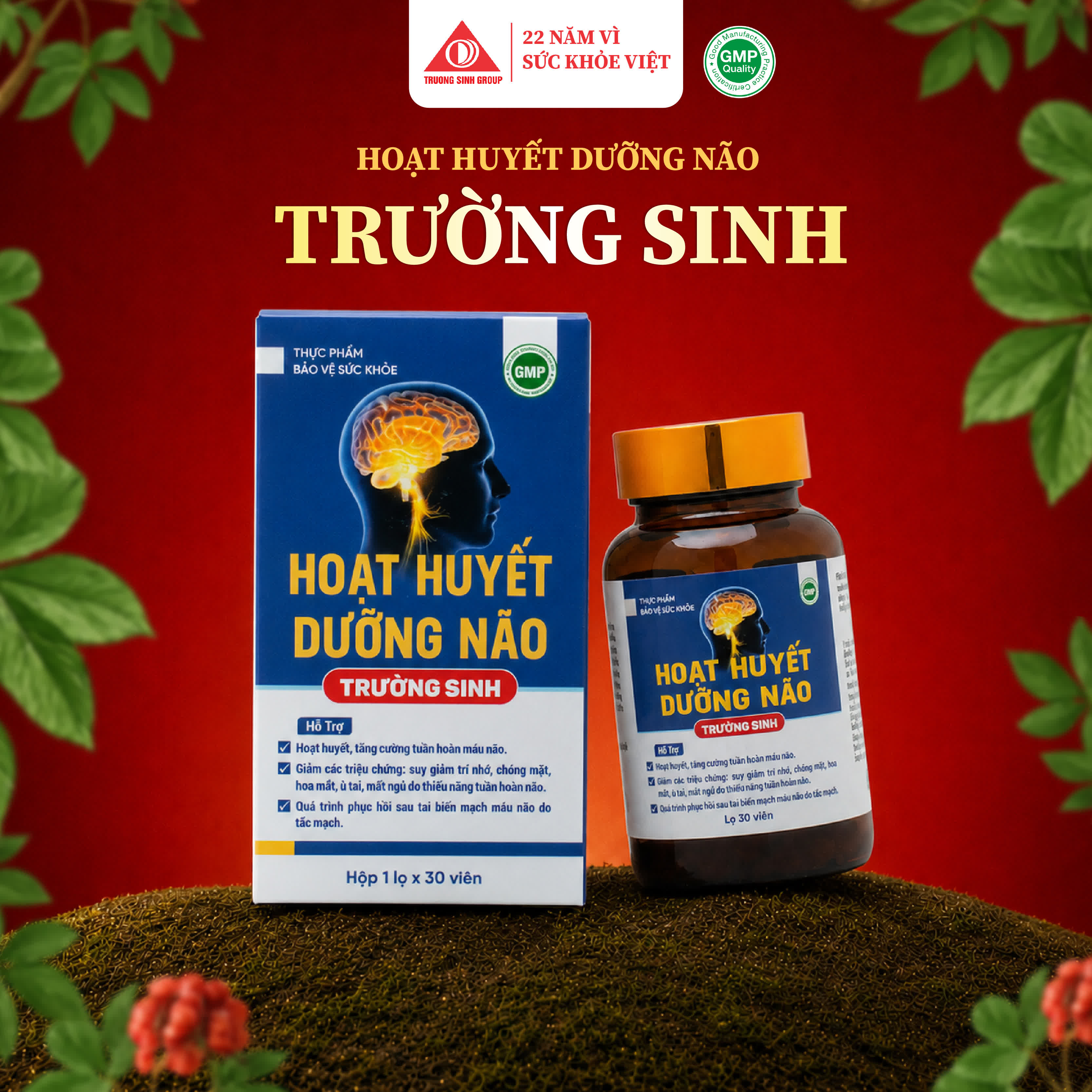 Hoạt Huyết Dưỡng Não Trường Sinh 30 Viên