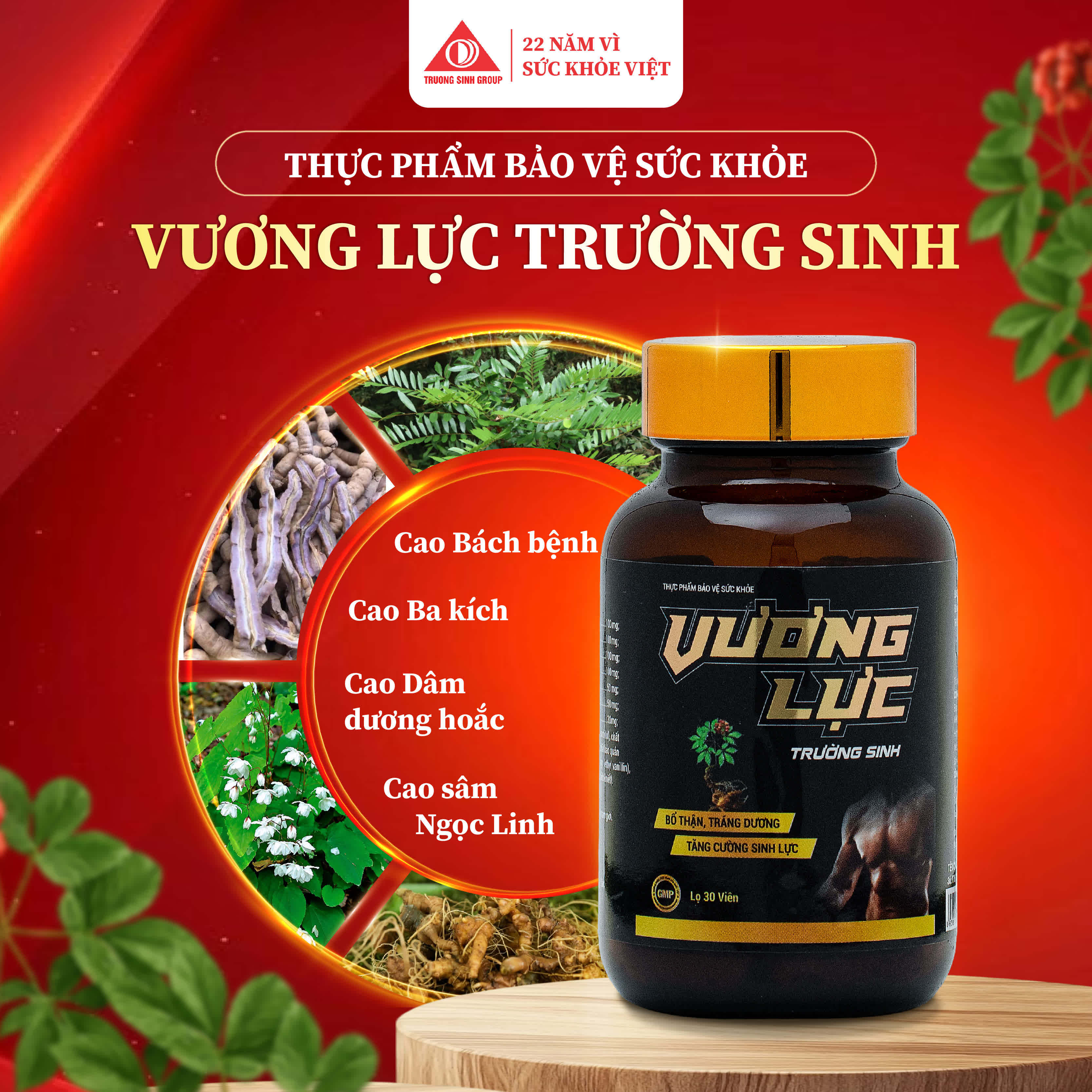 Vương Lực Trường Sinh